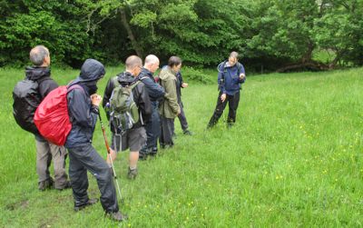 Hay meadows above Addingham