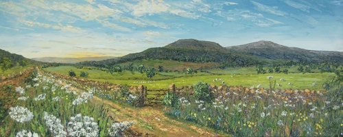 Rough Haw and Sharp Haw from Moor Lane, Hetton - David Starley