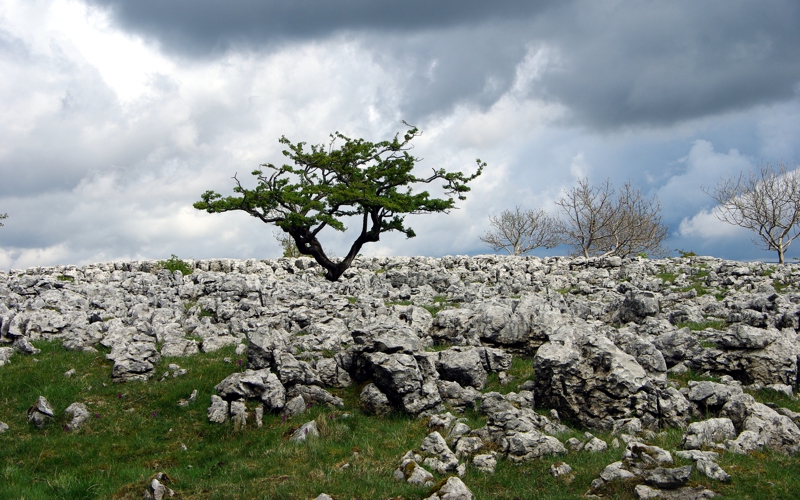 Southerscales Ingleborough