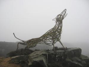 The Hound in January 2011. Photo: John Hunt