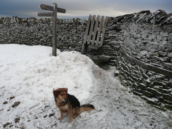 Jess on the summit of an icy Pen-y-ghent