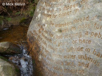 Stanza Stone at Backstone Beck